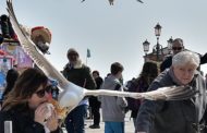 Furto a Venezia, gabbiano reale ruba al volo un panino a una turista