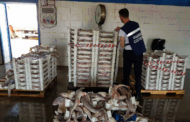 A Bari sequestrato 1500 chili di pesce privo di rintracciabilità proveniente da Mazara