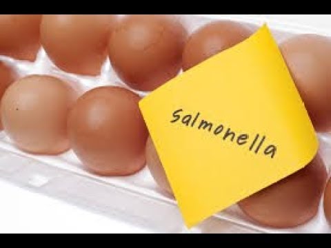 Germania: è allarme per uova alla salmonella. Lo segnala oggi l'Ufficio federale della sicurezza alimentare tedesco