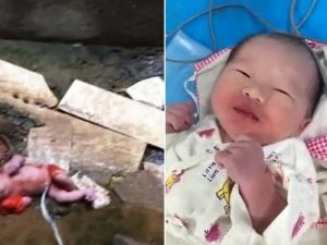 Neonata abbandonata in un cortile tra i rifiuti: aveva ancora il cordone ombelicale attaccato