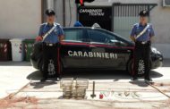 Paceco. 30enne denunciato dai carabinieri per maltrattamento di animali