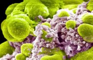 Tumori, caccia alle cellule dormienti per snidarle dopo la chemio