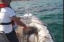 AGRIPESCA: Toni Scilla: “La pesca risorsa e non problema”