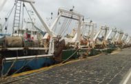 L'OP della Pesca di Trapani interviene sul fermo pesca in Sicilia: 