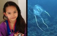 Bimba italiana uccisa da una medusa