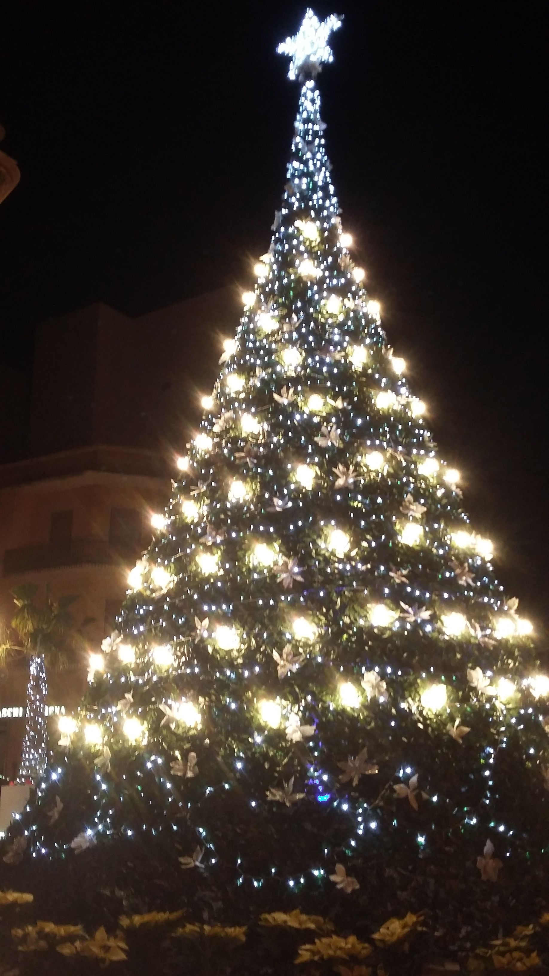 Mazara. Accese le luci dell'albero di Natale in piazza Mokarta. Video intervista al Sindaco Cristaldi