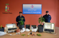 Mazara. Operazione antidroga con sequestro in appartamento di una serra con 6 piante di marijuana a carico di un cittadino mazarese