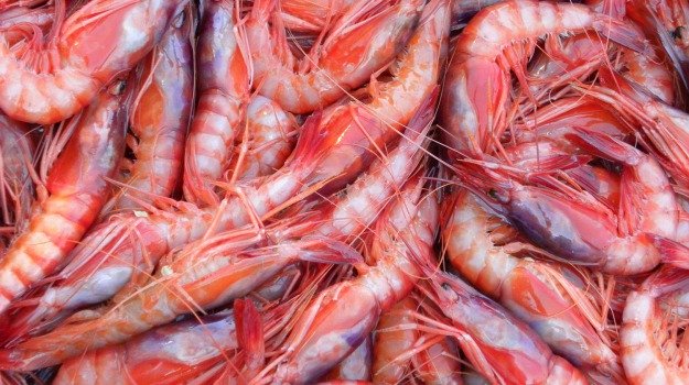 Nuove regole per la pesca a strascico anche in Sicilia. Cambiano le regole per la pesca di sei specie: il gambero viola, il rosa e il rosso e poi il nasello, lo scampo e la triglia di fango