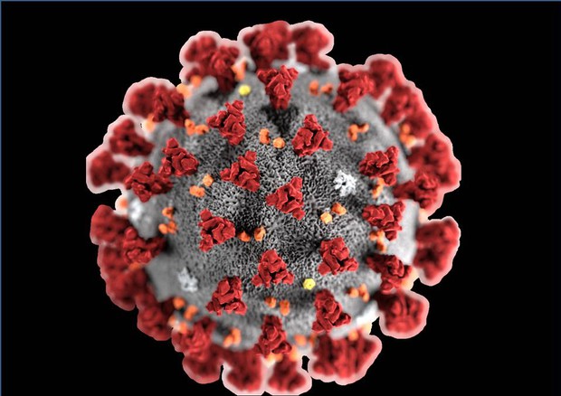 Coronavirus, quali i sintomi e come si trasmette
