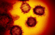 Coronavirus, scoperto primo farmaco per neutralizzarlo