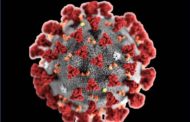 Coronavirus in Italia: Nelle ultime 24 ore 3815 nuovi contagiati, 756 morti, 646 guariti