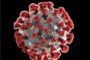 Coronavirus, ASP Trapani: In provincia 53 positivi, 22 ricoverati, 790 tamponi effettuati