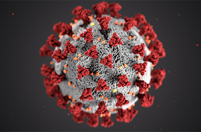 Coronavirus, bollettino del 7 dicembre in provincia di Trapani