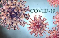 Coronavirus, 1422 i nuovi positivi in Sicilia: 36 le vittime. In Italia 33.979 casi e 546 decessi