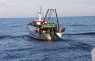 Pesca, Bartolo e Ferrandino scrivono a Ministra Bellanova: “I tagli alle giornate di pesca 2021 sarebbero catastrofici per il settore”