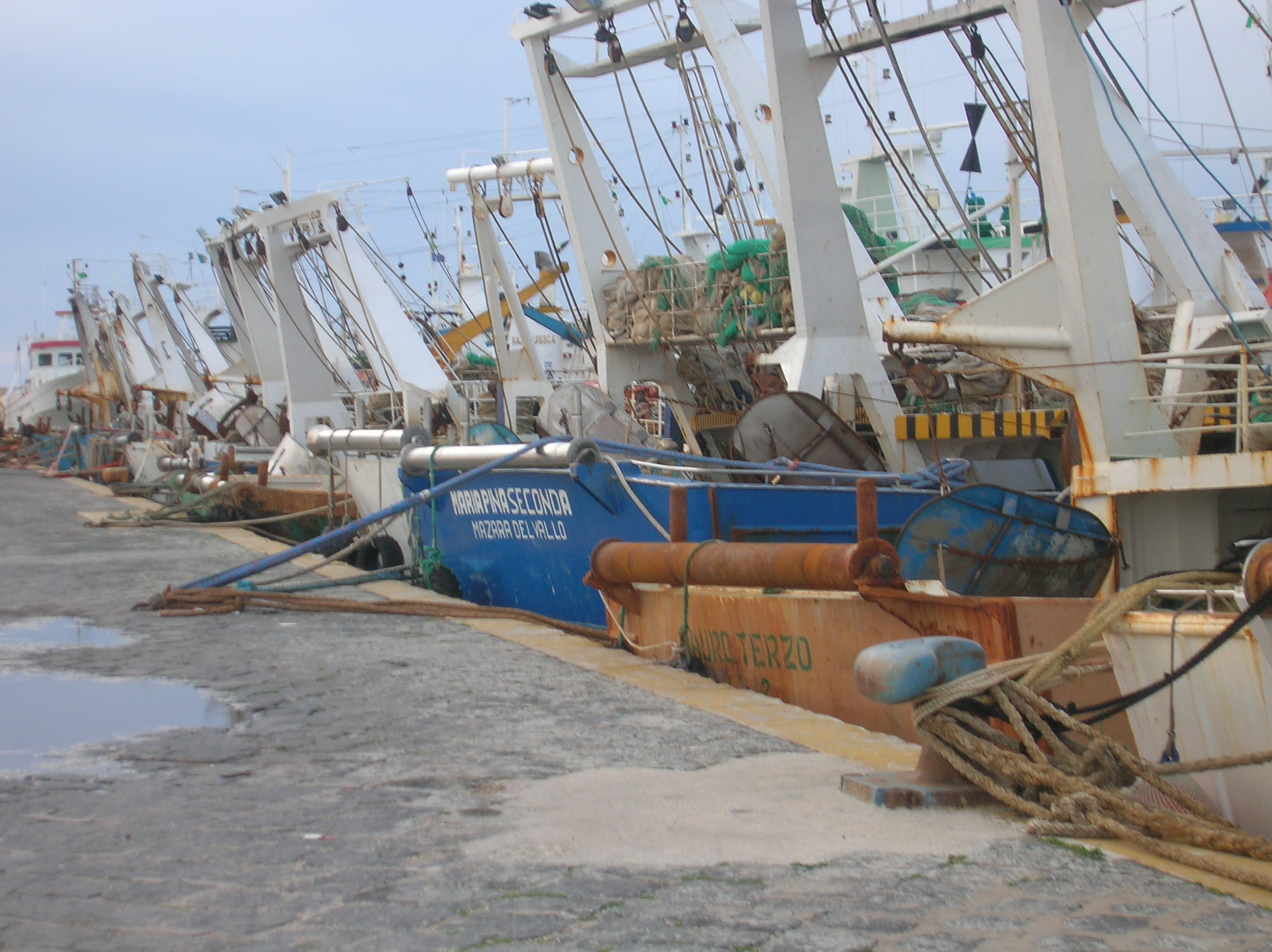 Regione Siciliana. Proroga scadenza bando Contributi settore trasformazione pesca