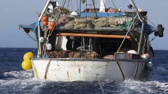 Pesca Canale di Sicilia: Tardino (Lega): “Divieti basati su dati vecchi, Patuanelli ordini nuovi studi scientifici”