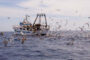 FEDERAZIONE AGRIPESCA: Pescatori mazaresi in guerra per poter lavorare. Comportamento della Libia intollerabile