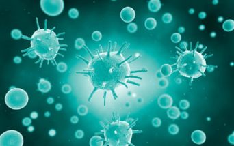 Coronavirus. Il bollettino provinciale della provincia di Trapani (7 Aprile 2022)