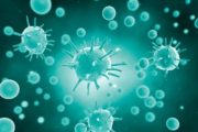 Coronavirus. Il bollettino provinciale di Venerdì 24 Giugno 2022