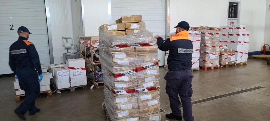 Controlli tra i pescatori di Palermo, Trapani e Mazara: sequestrate 9 tonnellate di prodotti