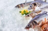 Mazara. Il Masaf, Ministero dell’Agricoltura e della sovranità alimentare, a Blue Sea Land 2022, celebra il pesce azzurro puntando sui giovanissimi