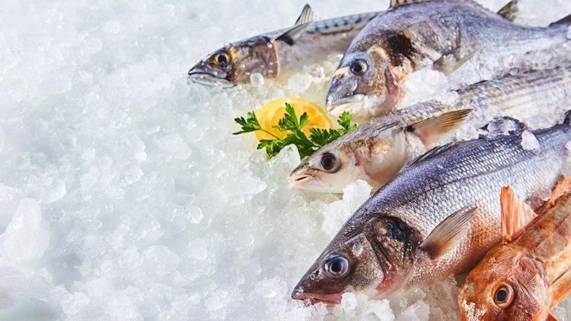 Mazara. Il Masaf, Ministero dell’Agricoltura e della sovranità alimentare, a Blue Sea Land 2022, celebra il pesce azzurro puntando sui giovanissimi