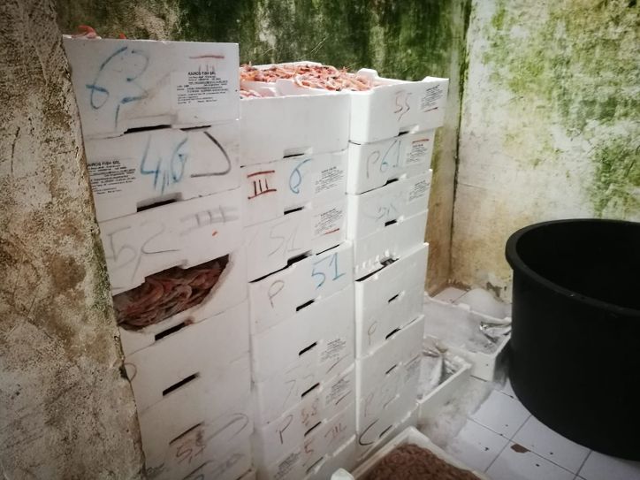 Stabilimento ittico abusivo: La Capitaneria di porto di Mazara del Vallo sequestra 200 kg di prodotto ittico