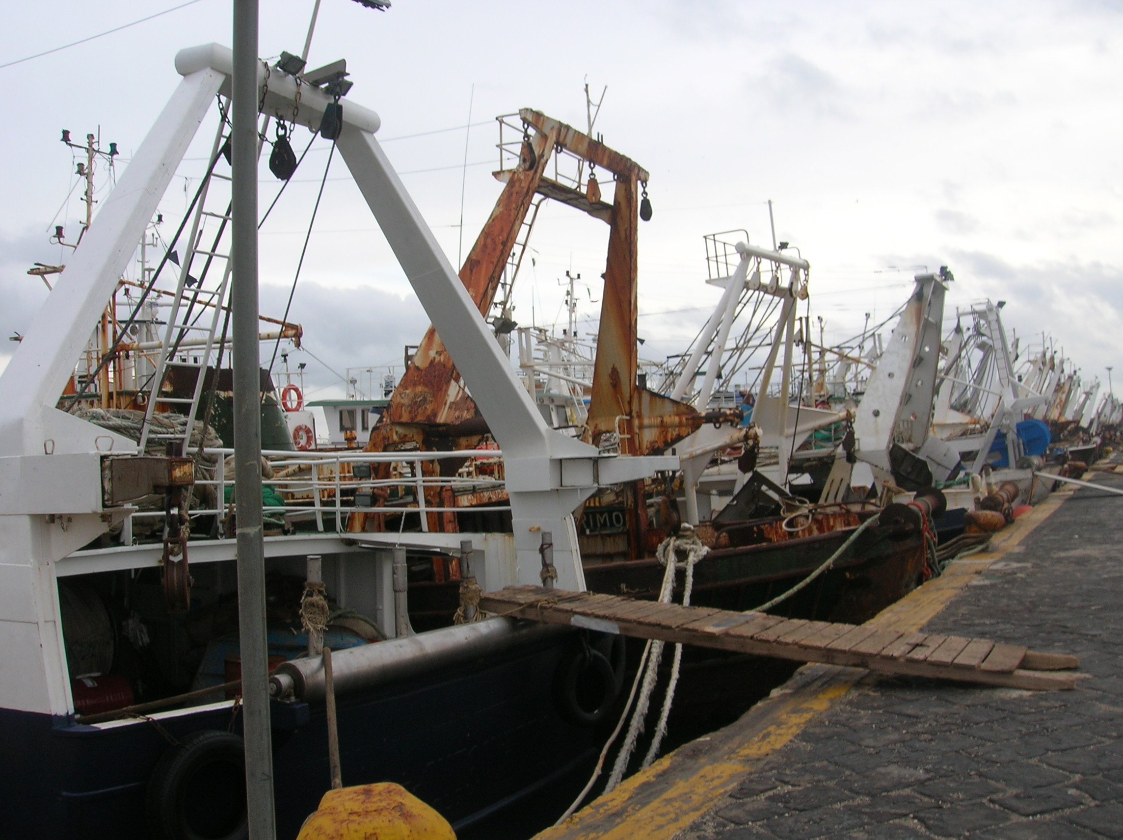 Pesca. La Sicilia di ferma nel mese di ottobre. Ugl chiede certezze sulla pesca in acque internazionali