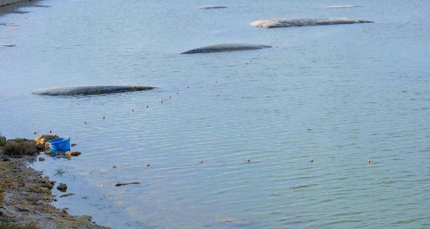Porto di Mazara: posiziona abusivamente una rete da pesca di 200 metri all’interno della “Colmata B”: sanzionato dalla Capitaneria di porto