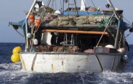 Pesca, Masaf: adottato il decreto sul credito d’imposta per gasolio e benzina. Ammesse 1.937 istanze per quasi 7 milioni di euro