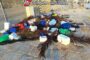 Sequestrati attrezzi da pesca non consentiti da parte degli uomini della Guardia Costiera di Trapani nell’arcipelago delle Egadi e al largo di San Vito Lo Capo